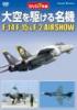 大空を駆ける名機 F-14 F-15 & F-2 AIRSHOW
